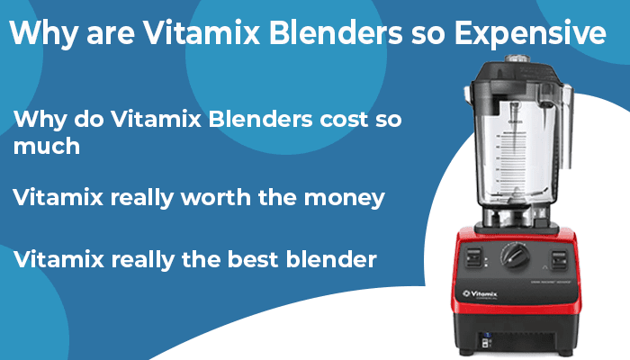 Why Are Vitamix Blenders So Expensive