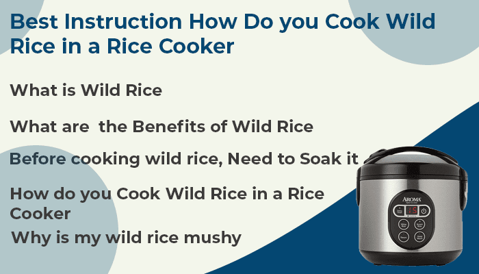 How Do You Cook Wild Rice In A Rice Cooker