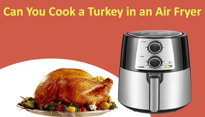 Can You Cook A Turkey In An Air Fryer