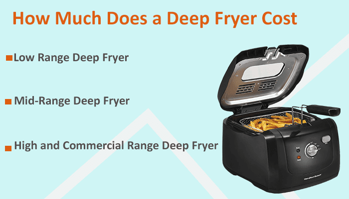 How Much Does A Deep Fryer Cost