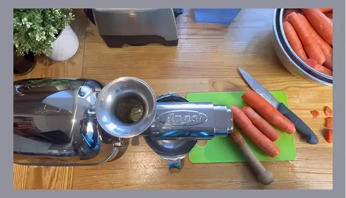 Cleaning Your Juicer Is Crucial To Your Health
