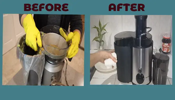 Why Is Juicer Cleaning Important